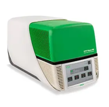 CFX Opus 96 Real-Time PCR System